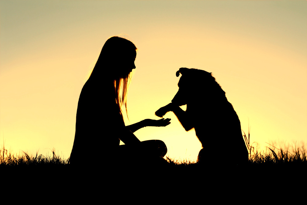 The Healing Power of Human-Animal Bonds: A New Frontier in Trauma&nbsp;Recovery
